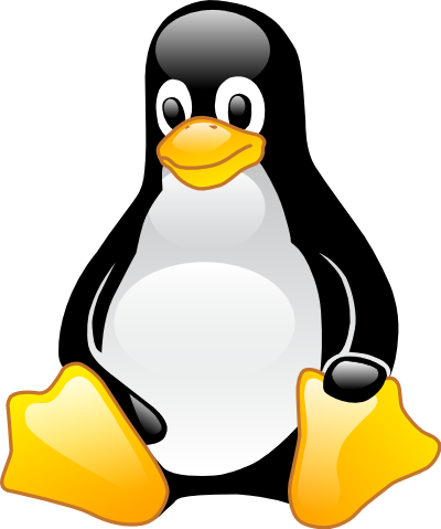 Vps ( Miami & Germany )